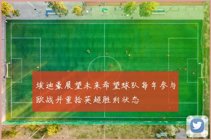 埃迪豪展望未来希望球队每年参与欧战并重拾英超胜利状态
