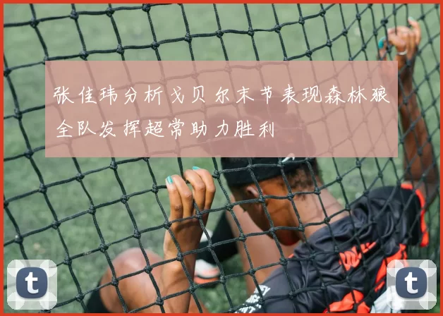 张佳玮分析戈贝尔末节表现森林狼全队发挥超常助力胜利